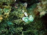 2010-09-10 15-23-58 Steven